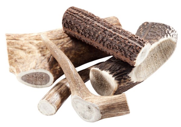 Chewies Rothirsch Geweihsnack
