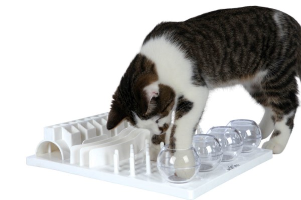 Trixie Cat Activity Fun Board Strategiespiel